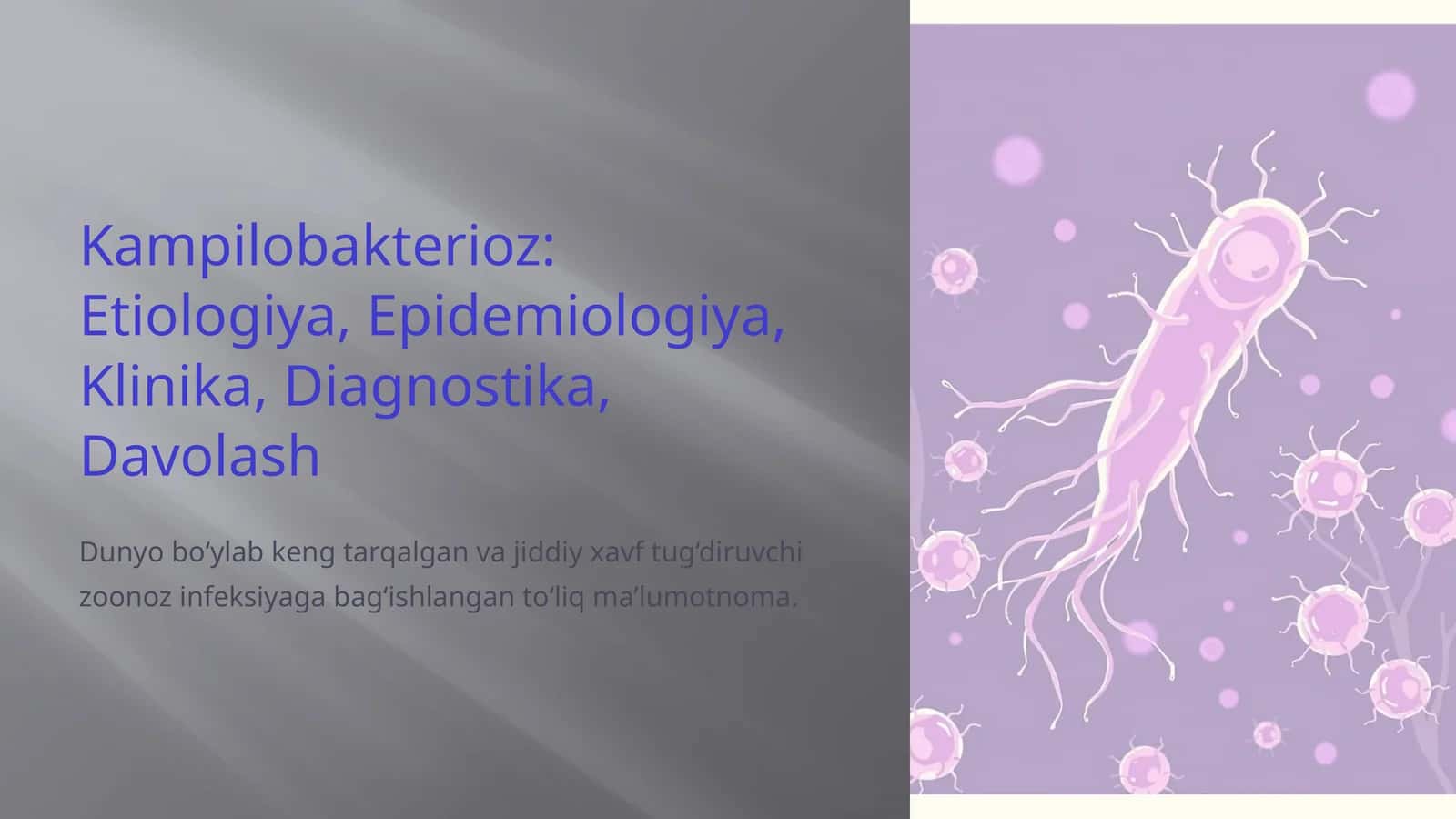Kampilobakterioz: Etiologiya, Epidemiologiya, Klinika, Diagnostika, Davolash 1