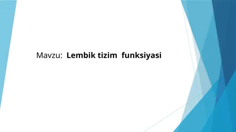 Lembik tizim  funksiyasi 1
