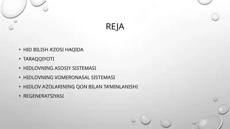 Hid bilish organi gistologiyasi va regenatsiya xususiyati pptx taqdimod uchun