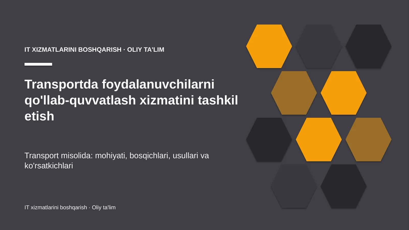transportda foydalanuvchilarni qo'llab quvvatlash xizmatini tashkil etish 3381 1