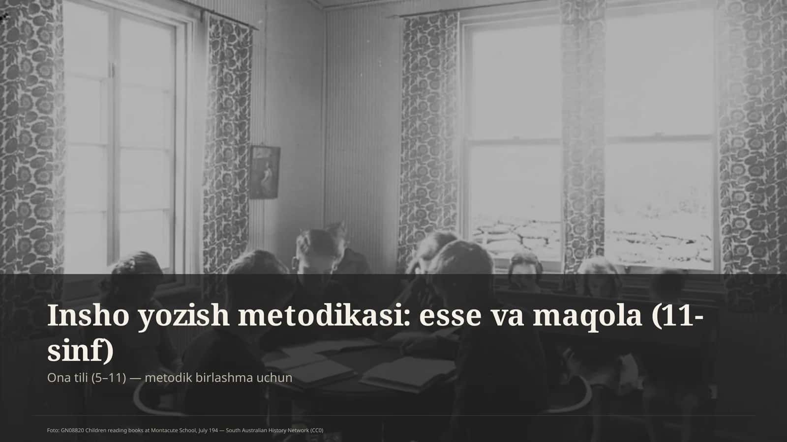 Insho yozish metodikasi: esse va maqola (11-sinf) 1
