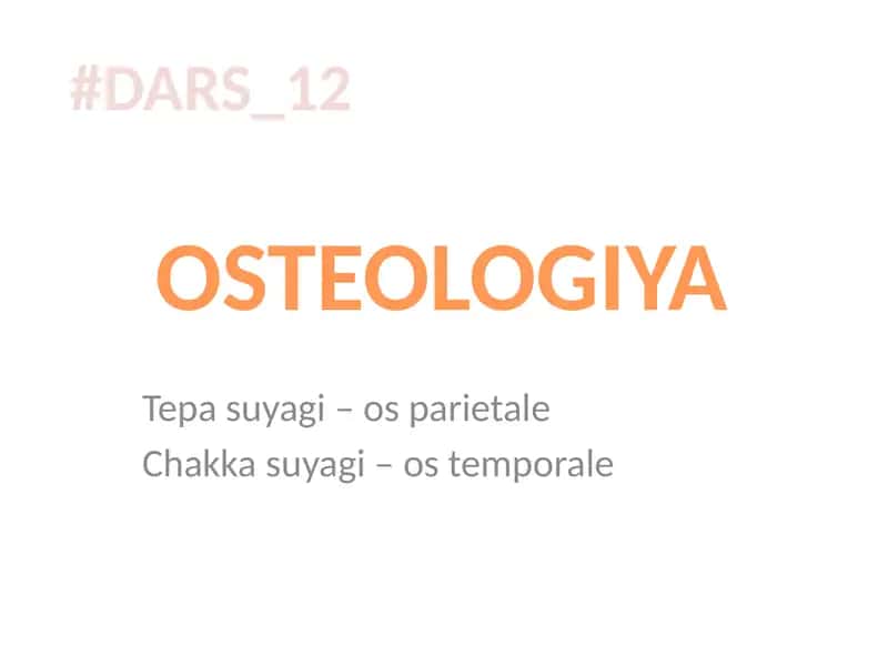 OSTEOLOGIYA 1