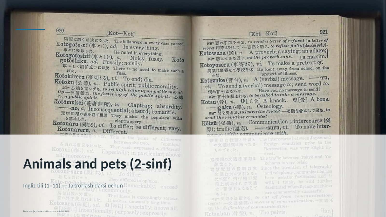 Animals and pets (2-sinf) 1