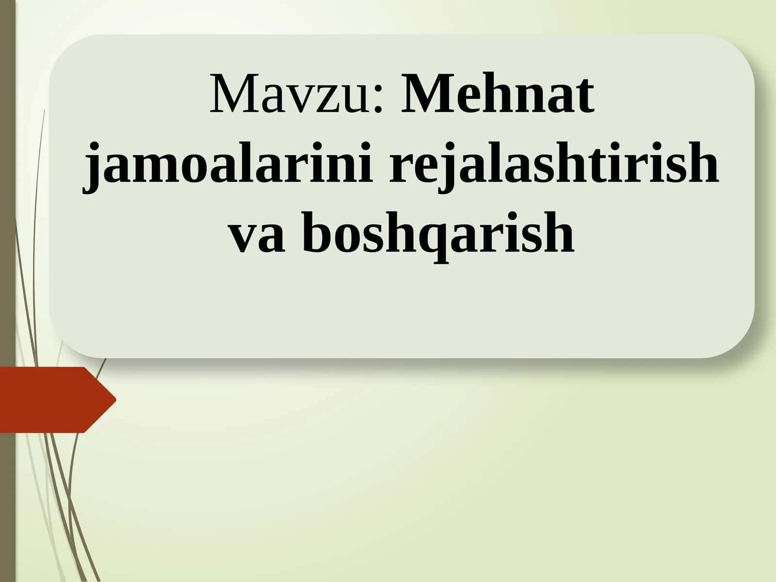 Mehmat jamoalarini rejalashtirish va boshqarish 1