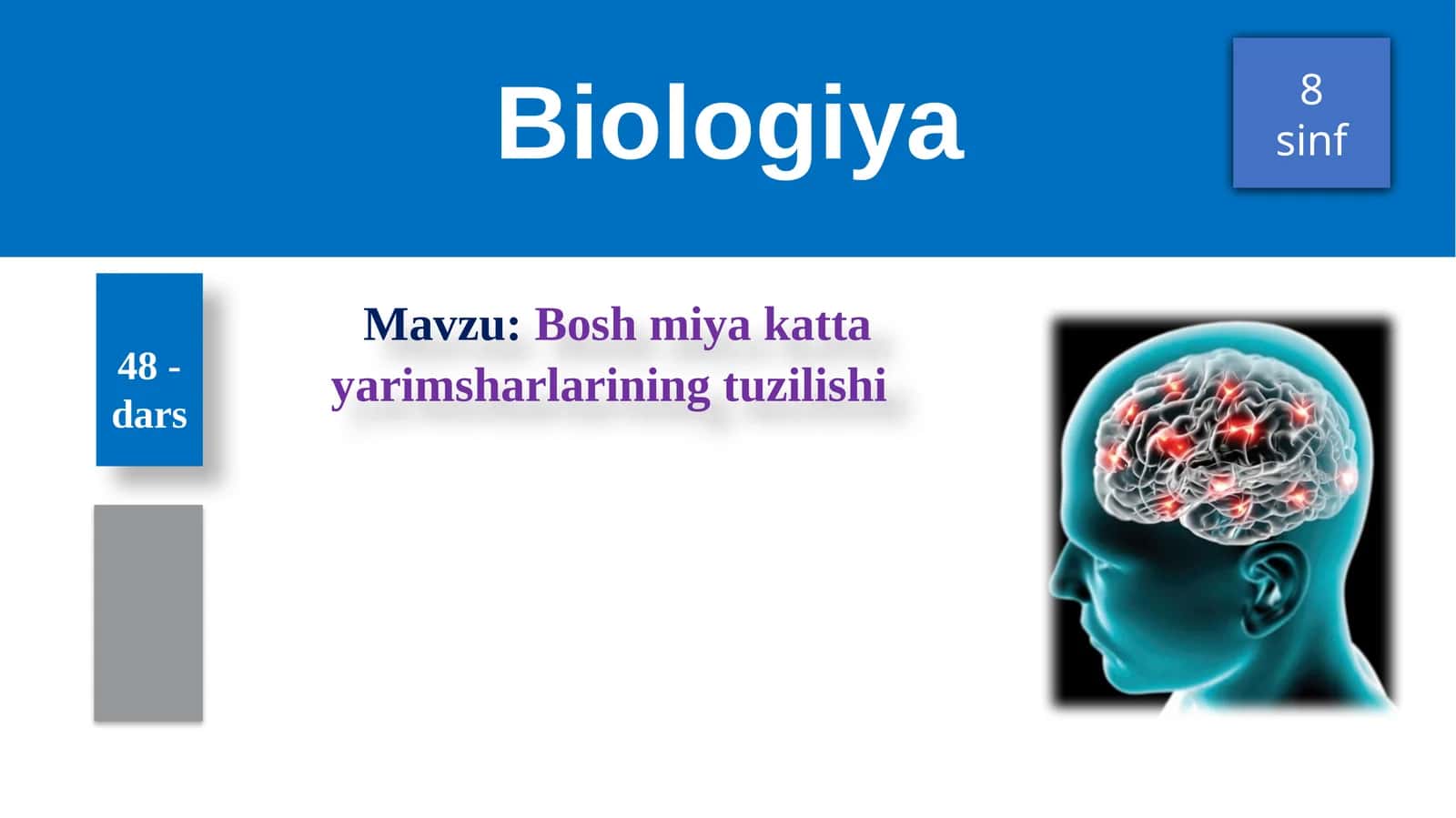Boshmiyakattayarimsharlariningtuzilishi 1
