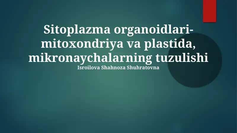 Mitoxondriyalar va Plastidalar: Tuzilishi, Vazifalari va Kelib Chiqishi 1