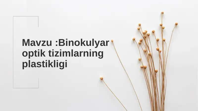 Binokulyaroptik tizimlar 1