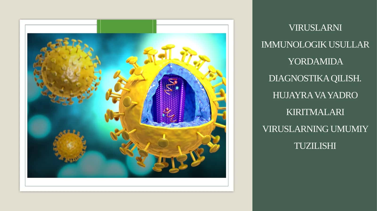 Viruslarni immunologik usullar yordamida diagnostika qilish.Hujayra va yadro kiritmalari Viruslarning umumiy tuzilishi 1