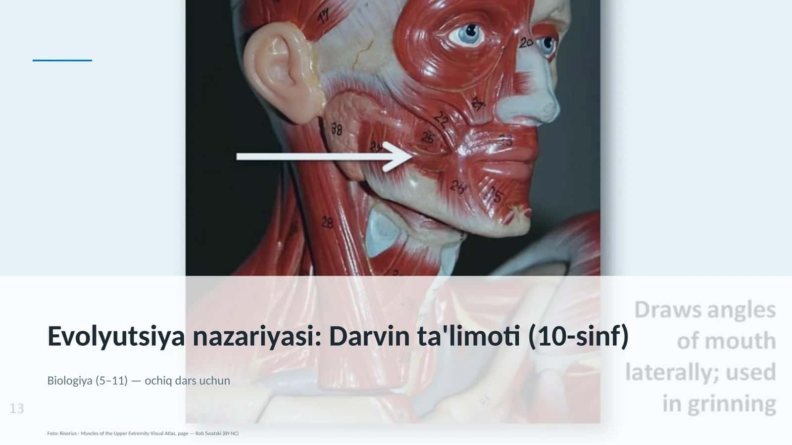 Evolyutsiya nazariyasi: Darvin ta'limoti (10-sinf) 1