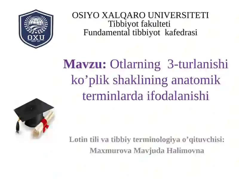 Otlarning 3-turlanishi ko’plik shaklining anatomik terminlarda ifodalanishi