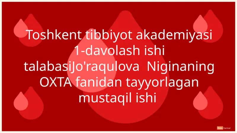 Orqa miya churralarining anatomik tuzilishi va funktsiyalari 1