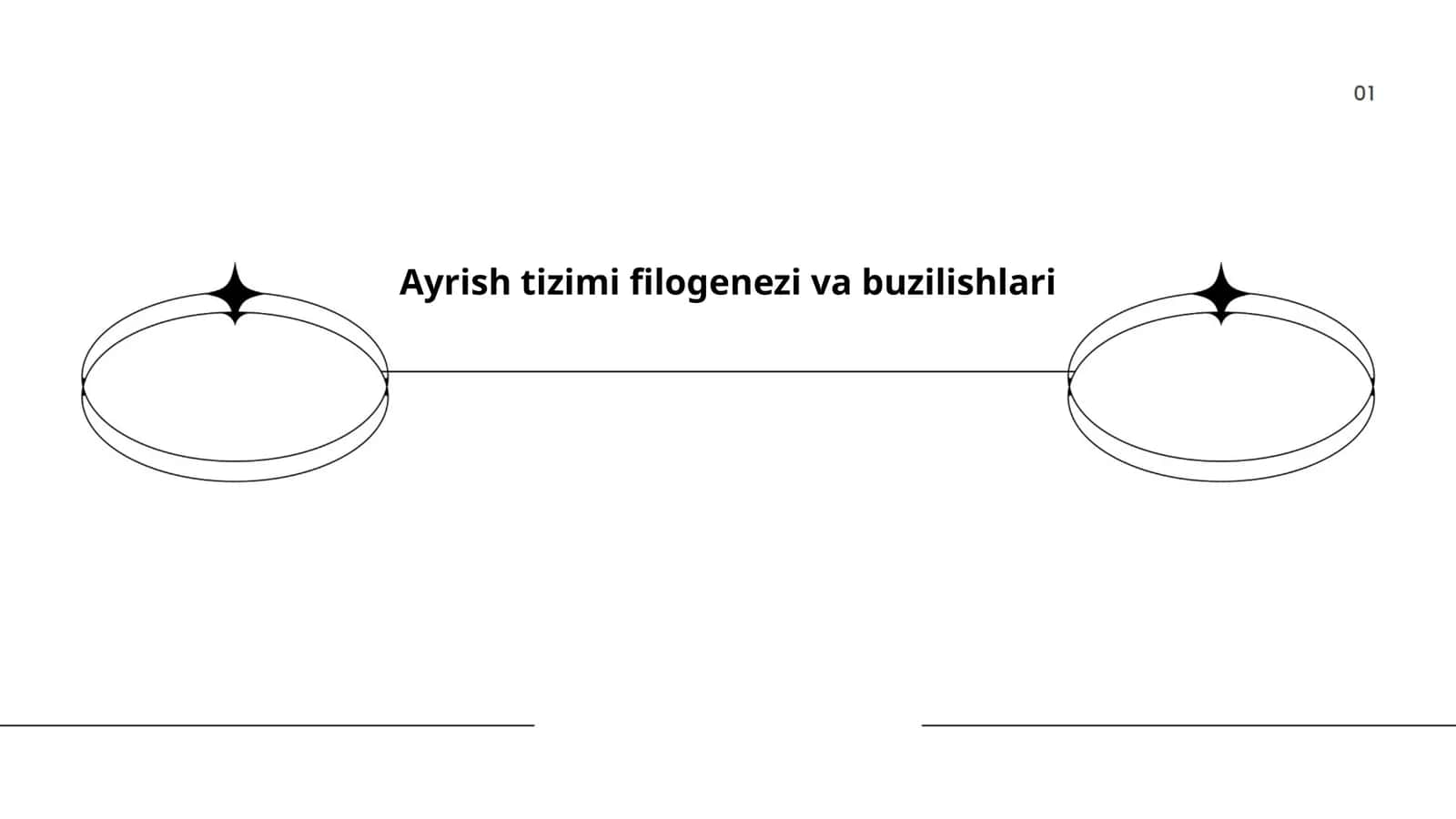 Ayrish tizimi filogenezi va buzilishlari 1