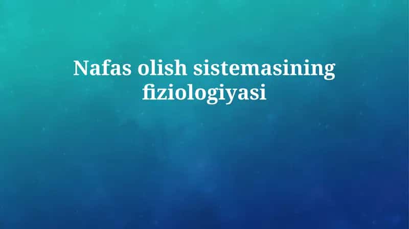Nafas olish sistemasining fiziologiyasi 1