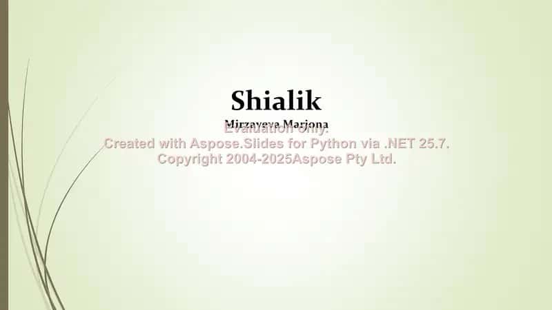 Shialik 1