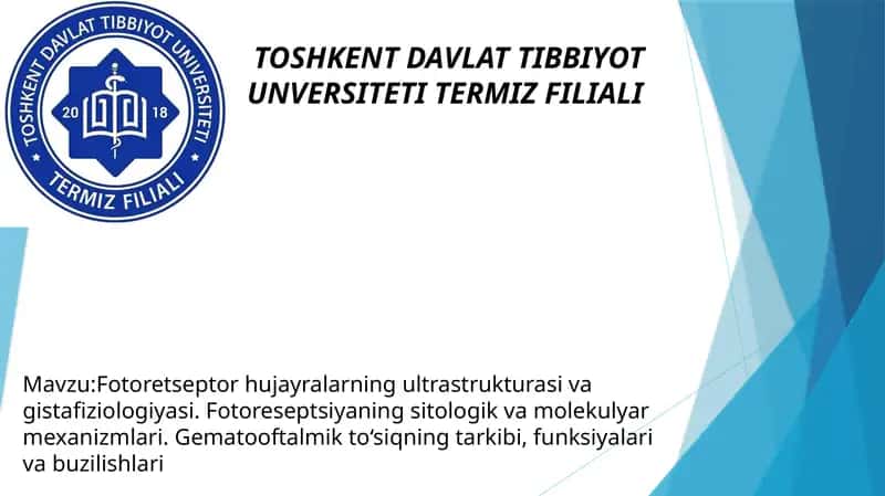 Fotoretseptor hujayralarning ultrastrukturasi va gistafiziologiyasi. Fotoreseptsiyaning sitologik va molekulyar mexanizmlari. Gematooftalmik to‘siqning tarkibi, funksiyalari va buzilishlari 1