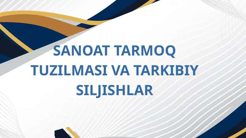 SANOAT TARMOQ TUZILMASI VA TARKIBIY SILJISHLAR 1