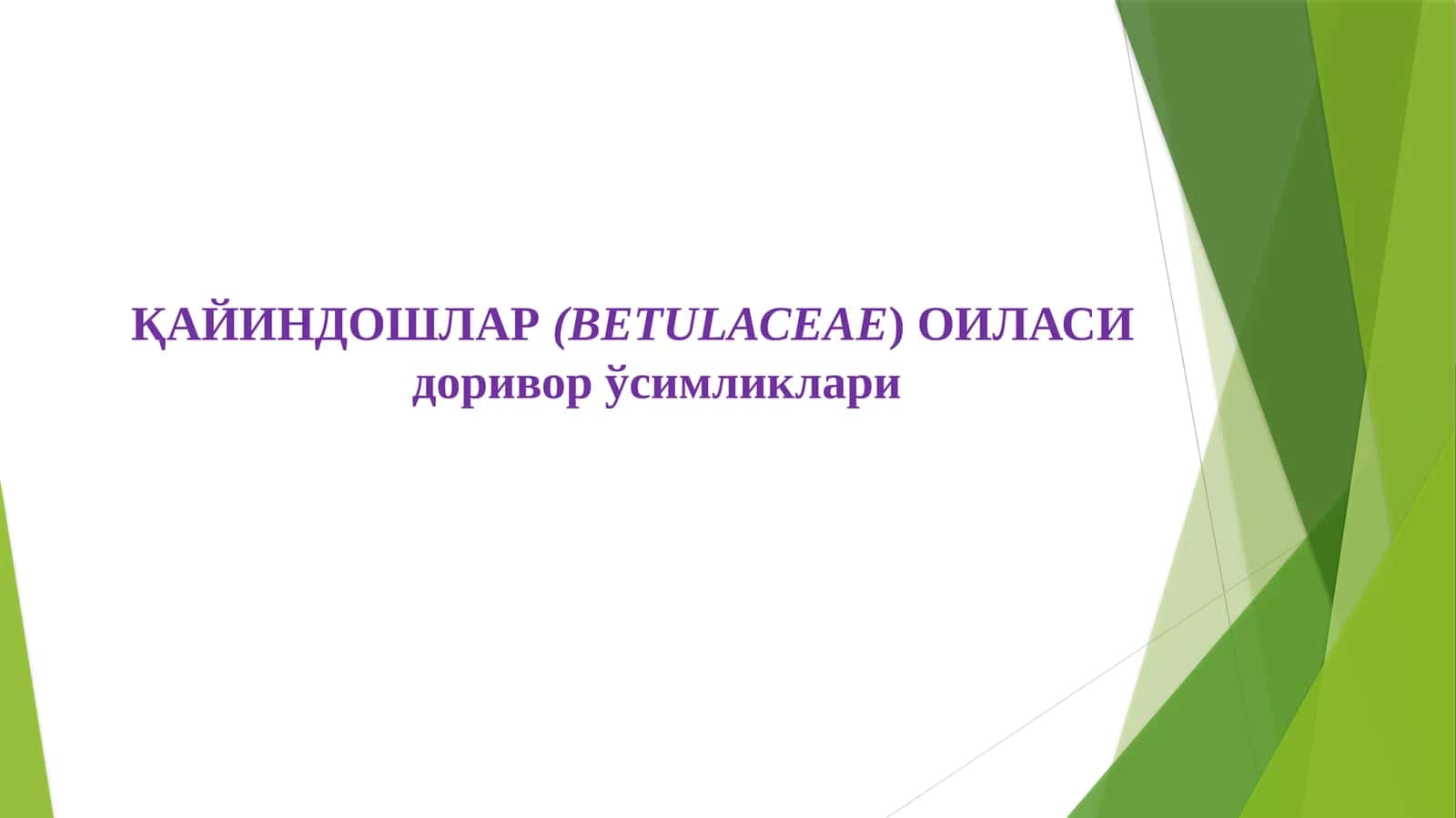 ҚАЙИНДОШЛАР(ВЕТULАСЕАЕ) ОИЛАСИдоривор ўсимликлари 1