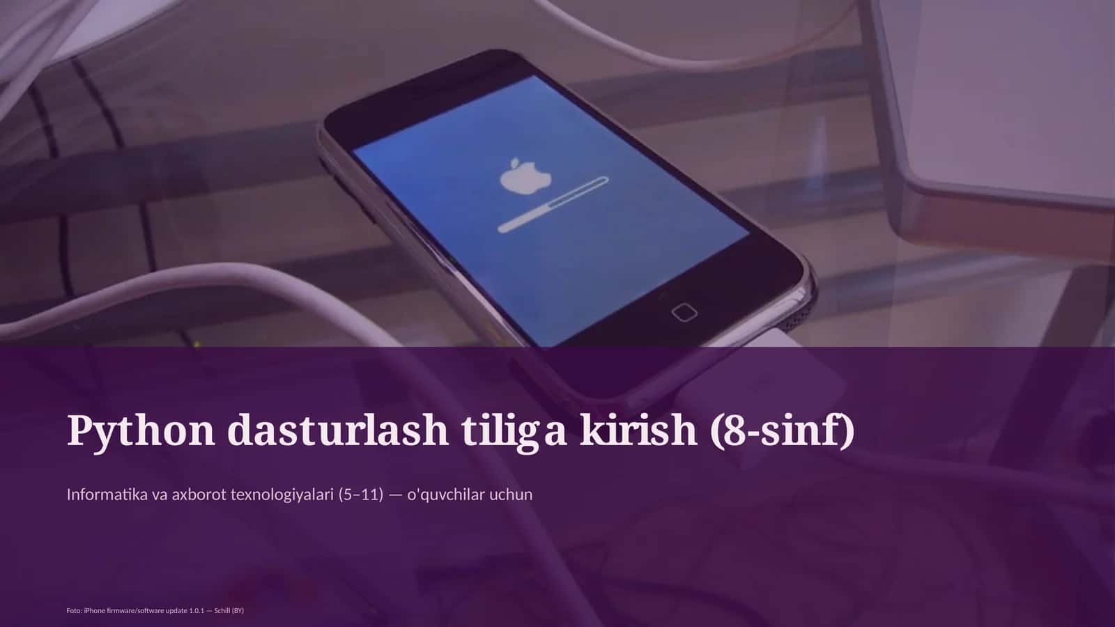 Python dasturlash tiliga kirish (8-sinf) 1