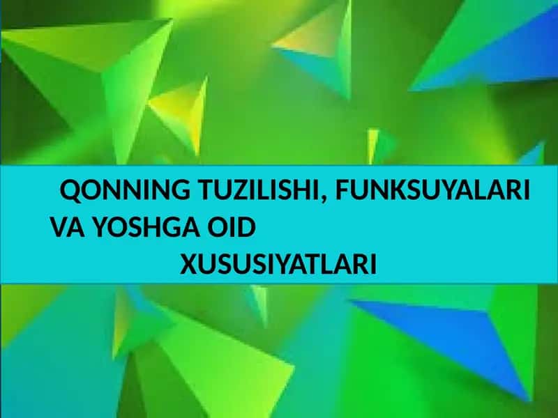 QONNING TUZILISHI, FUNKSUYALARI VA YOSHGA OIDXUSUSIYATLARI 1