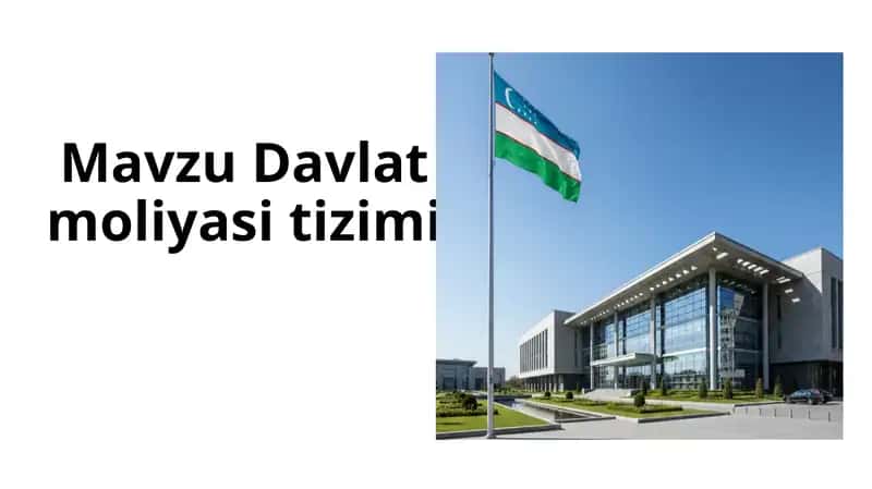 Davlat moliyasi tizimi 1