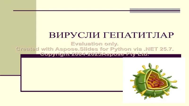 ВИРУСЛИ ГЕПАТИТЛАР 1