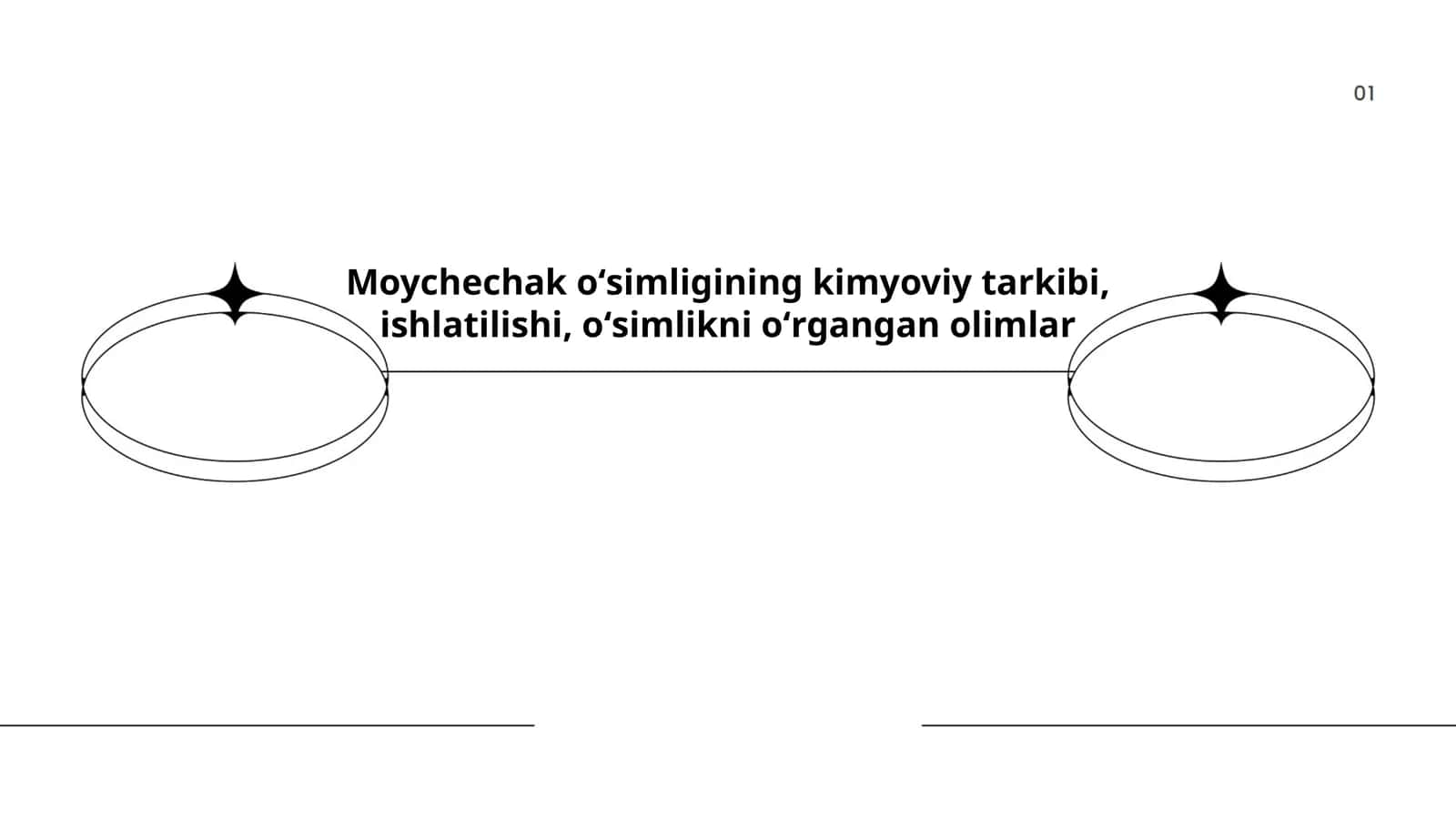 Moychechak oʻsimligining kimyoviy tarkibi, ishlatilishi, oʻsimlikni oʻrgangan olimlar 1