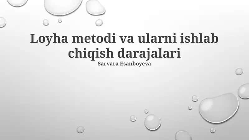 Loyha metodi va ularni ishlab chiqish darajalari 1