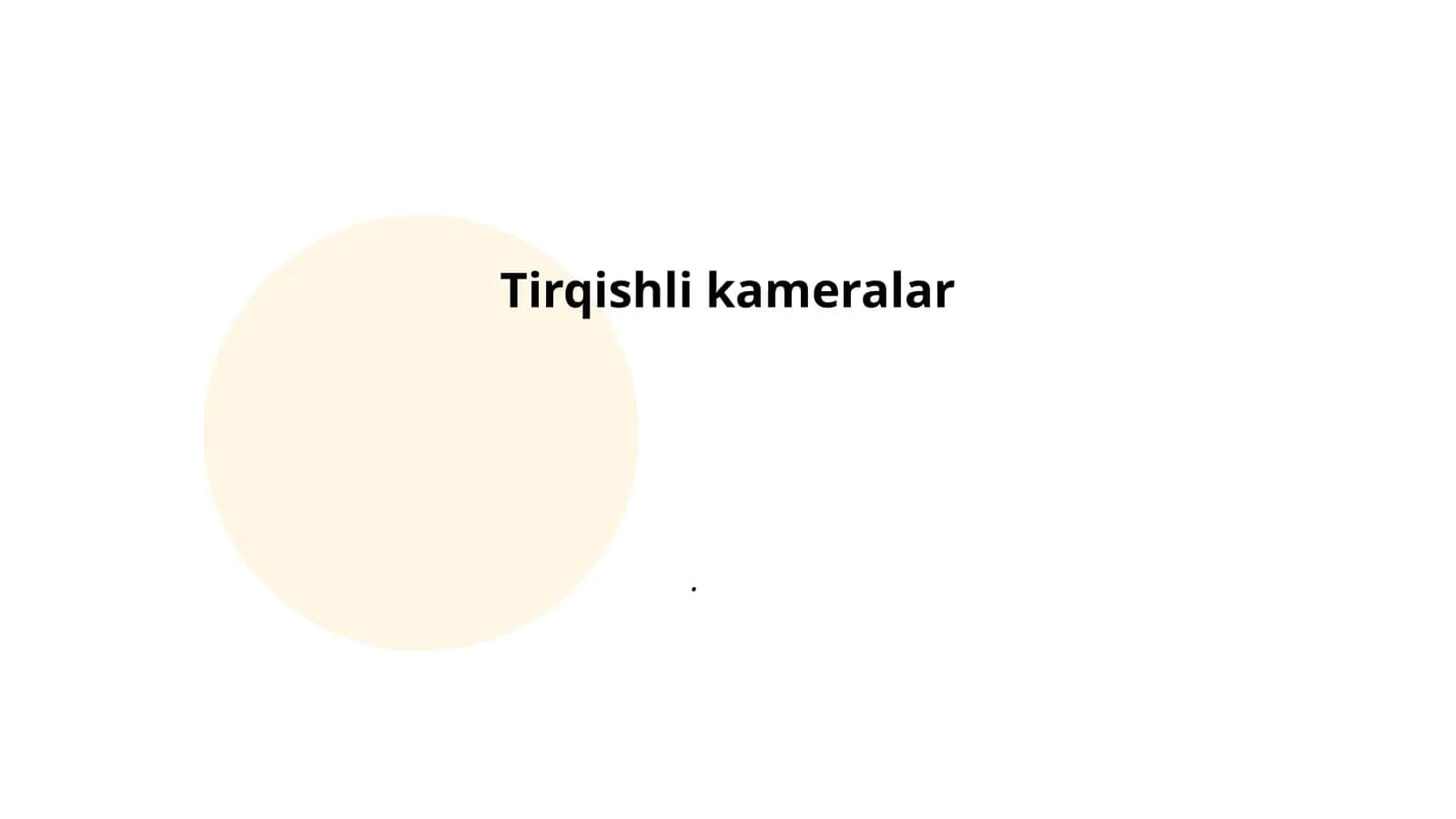 Tirqishli kameralar 1