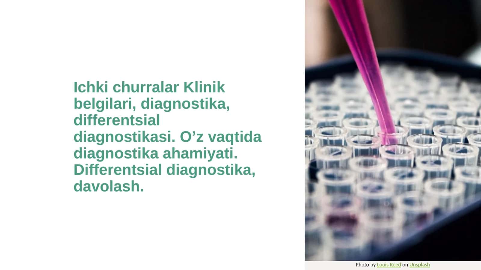 ichki churralar 1