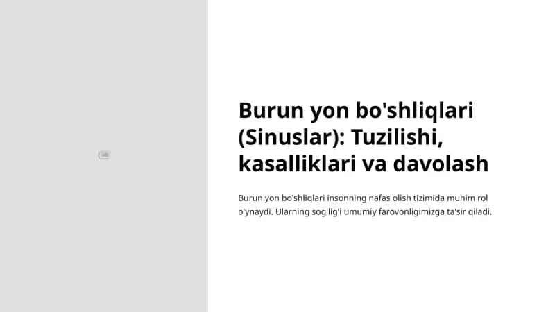 Burun yon bo'shliqlari (Sinuslar): Tuzilishi, kasalliklari va davolash 1