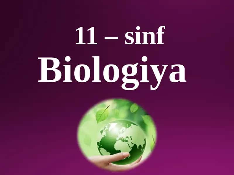 O`simliklar filogenezi. O`simliklarning vegetativ organlari filogenezi 1