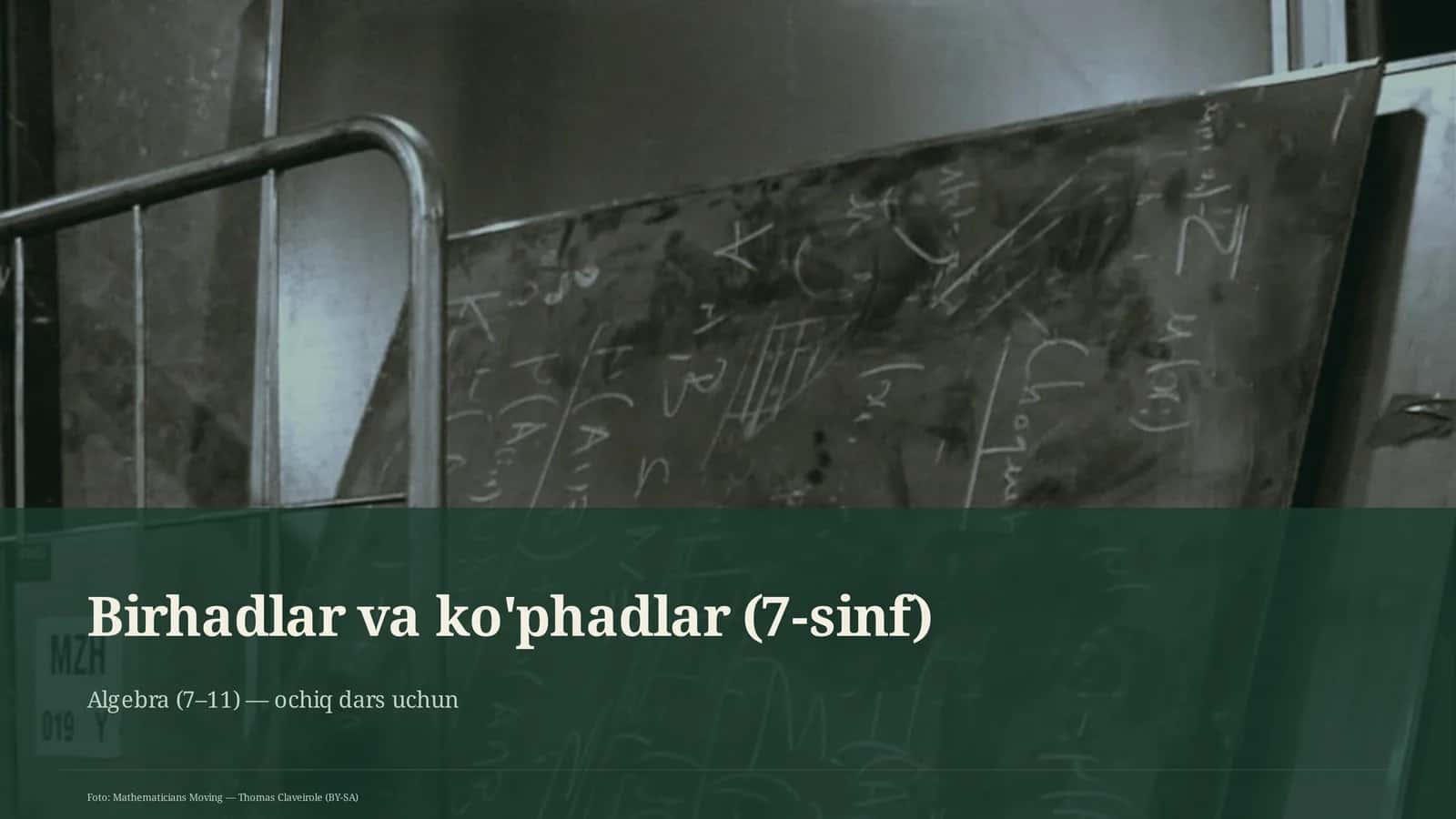 Birhadlar va ko'phadlar (7-sinf) 1