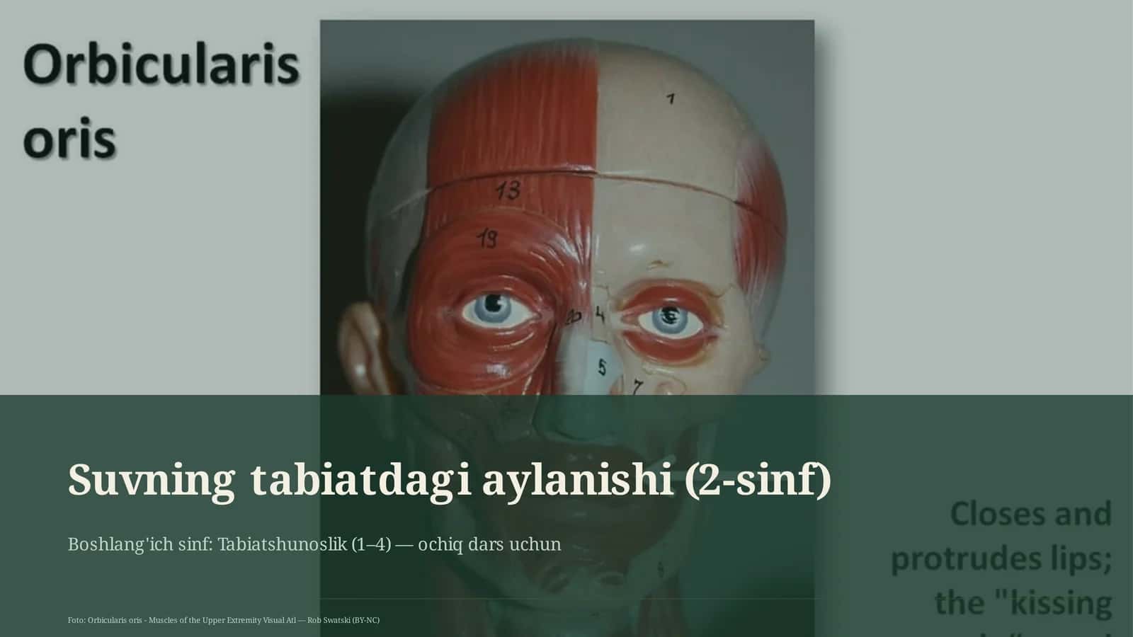 Suvning tabiatdagi aylanishi (2-sinf) 1