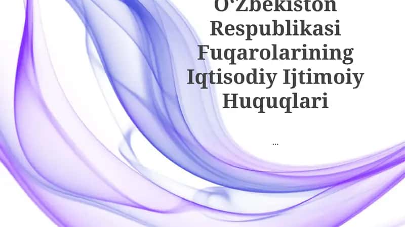 Oʻzbekiston Respublikasi Fuqarolarining Iqtisodiy Ijtimoiy Huquqlari 1