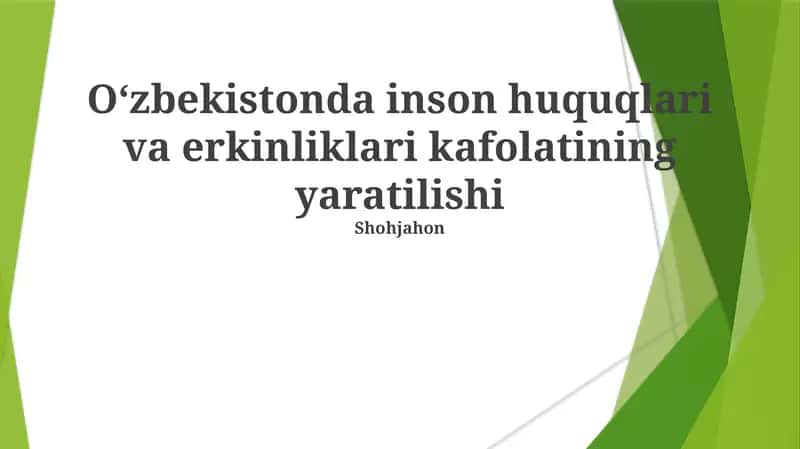 O'zbekistonda inson huquqlari va erkinliklari kafolatining yaratilishi 1
