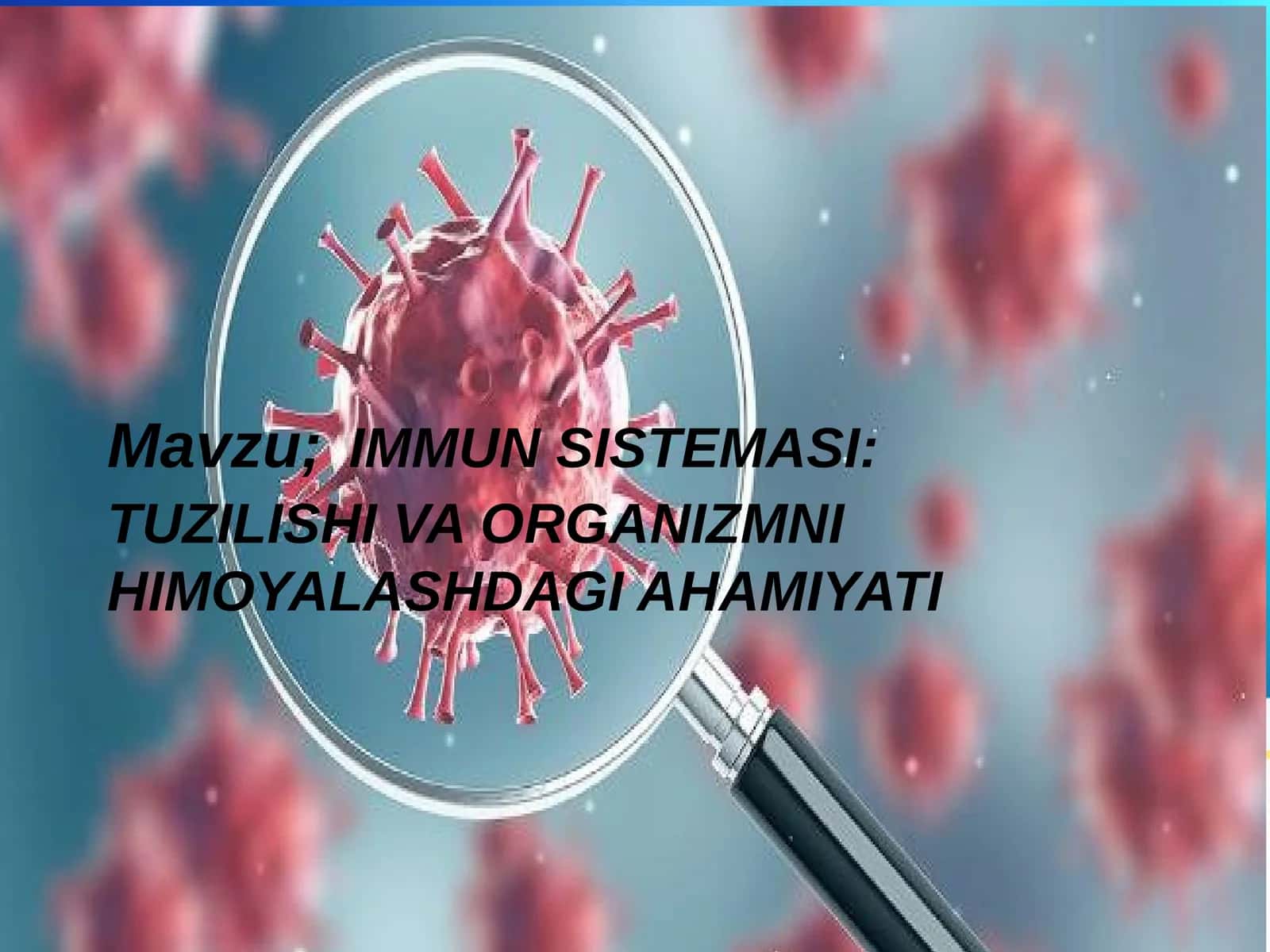 IMМUN SISTEMASI: TUZILISHI VA ORGANIZMNI HIMOYALASHDAGI AHAMIYATI 1