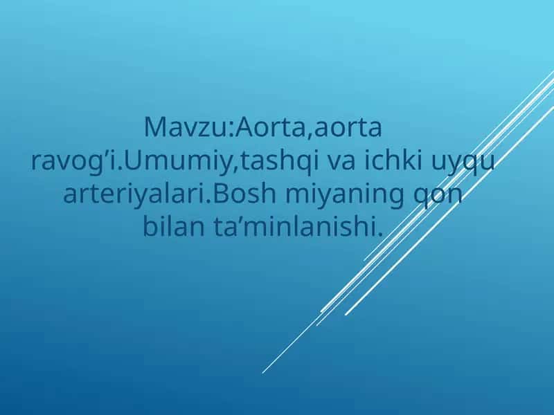 Aorta va aorta ravogi 1