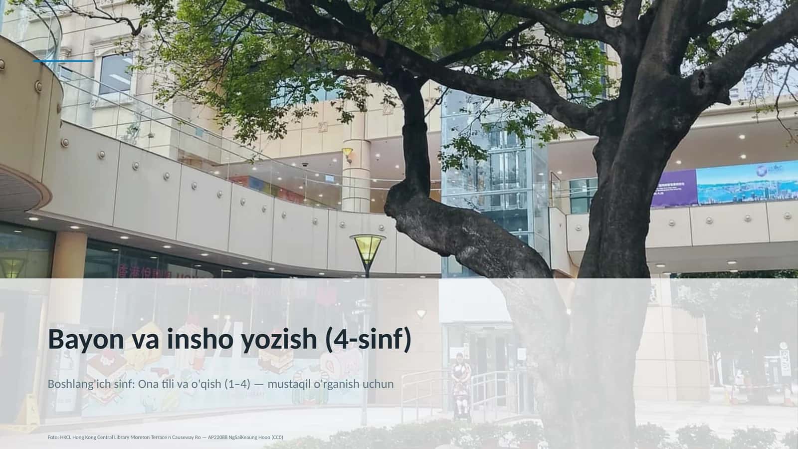 Bayon va insho yozish (4-sinf) 1