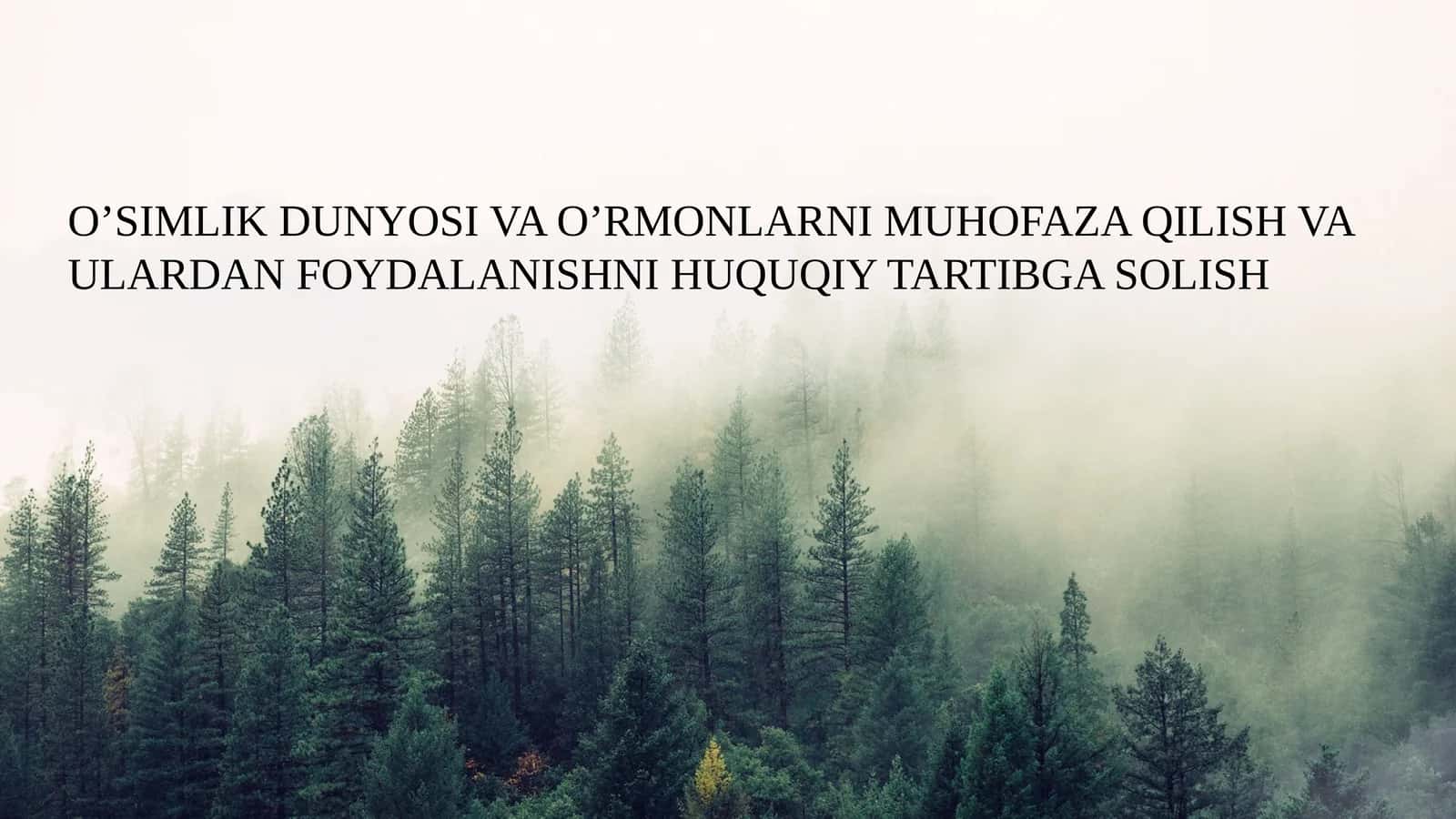 O’SIMLIK DUNYOSI VA O’RMONLARNI MUHOFAZA QILISH VA ULARDAN FOYDALANISHNI HUQUQIY TARTIBGA SOLISH 1