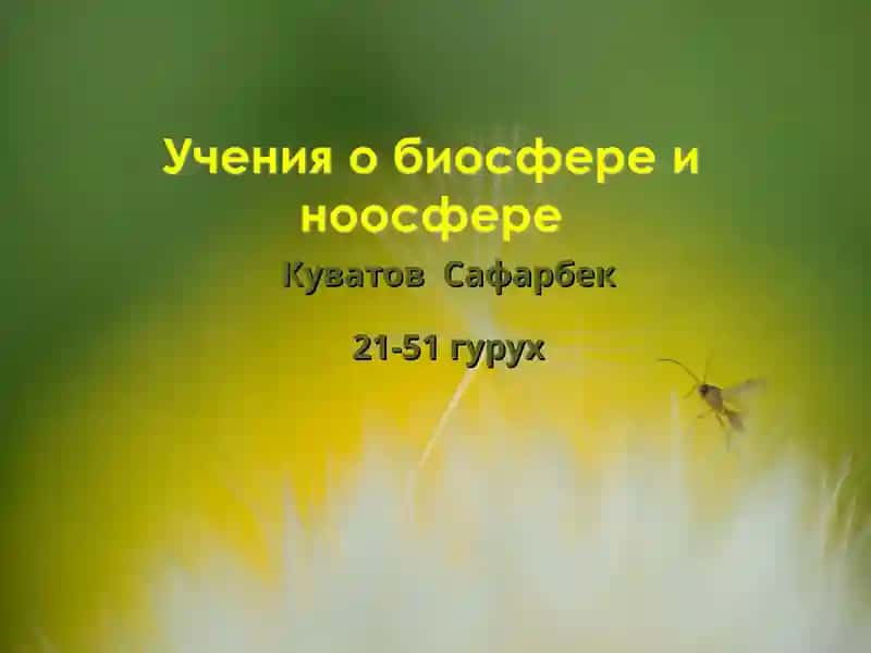 Деятельность живых организмов