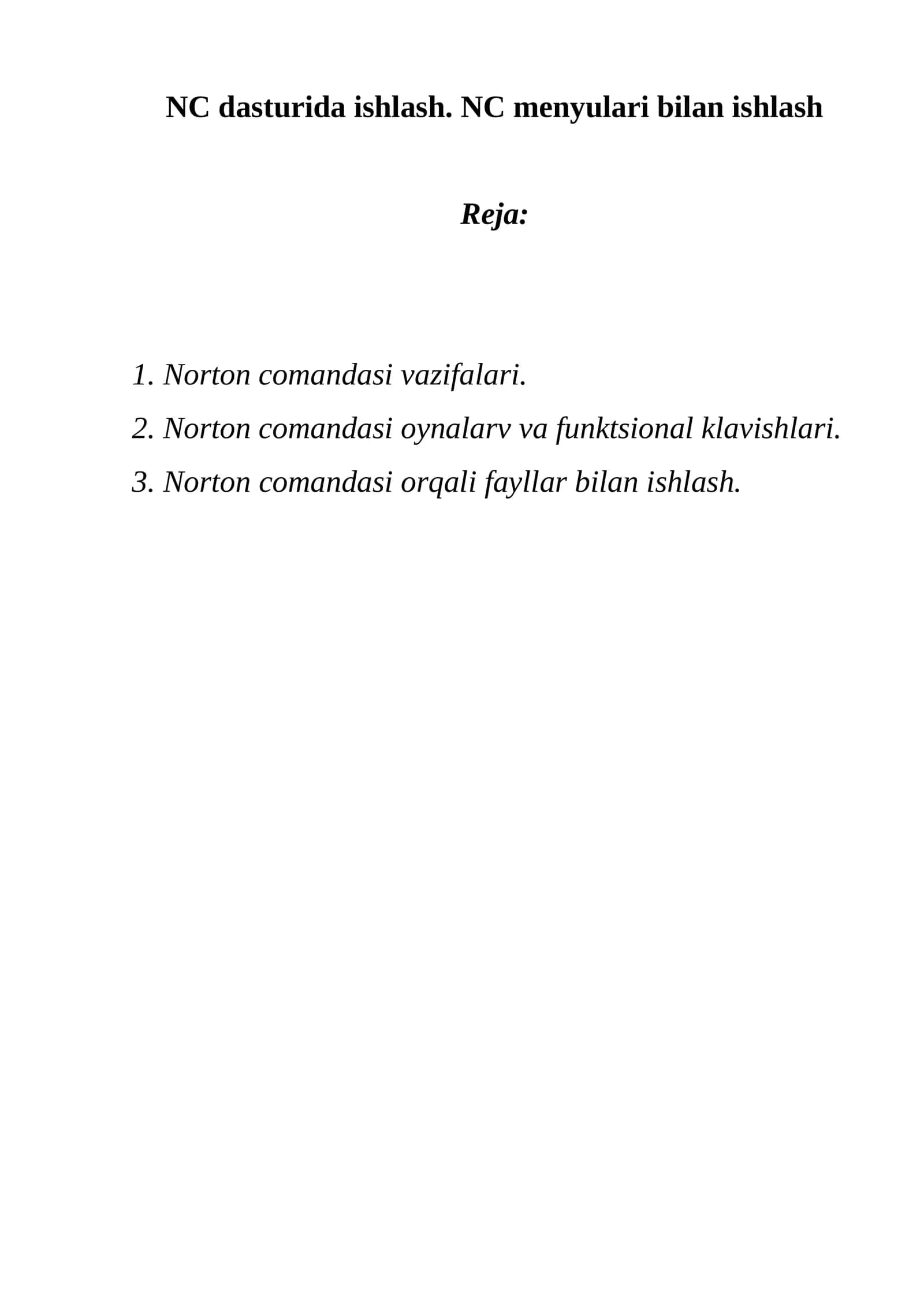 Norton comandasi ishlovchi programa (NC) 1