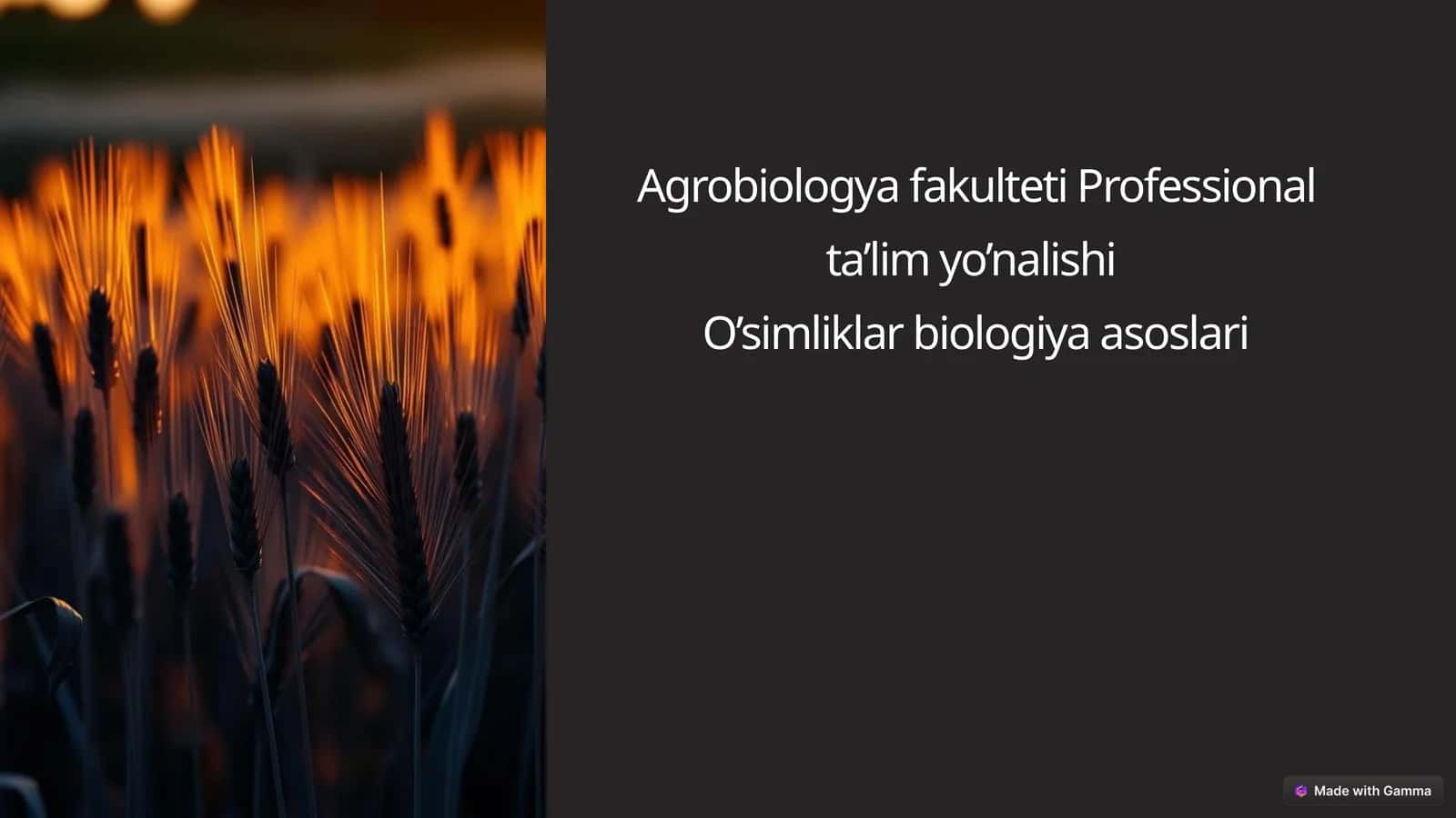 Hosilni  rejalashtirishda  ekish  me’yorining  o‘rni 1