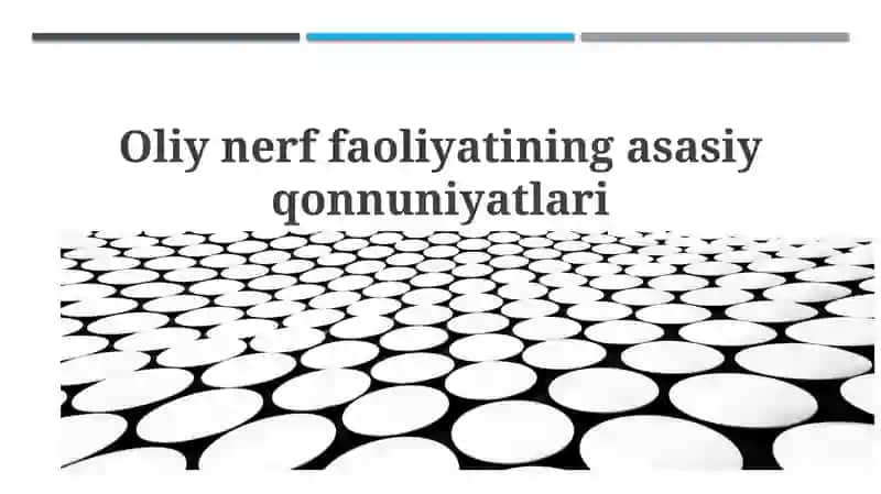Oliy nerv faoliyatining asosiy qonuniyatlari