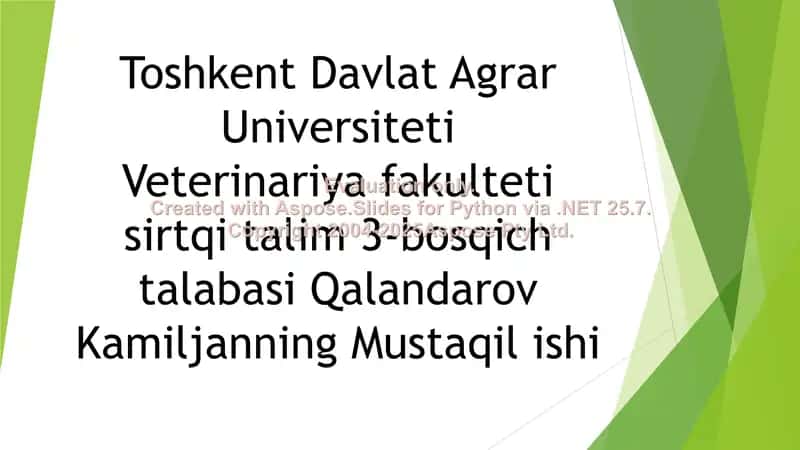 Aygirlarni axtalash 1