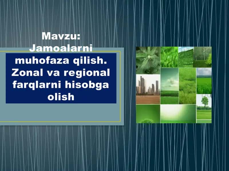 Jamoalarni muhofaza qilish. Zonal va regional farqlarni hisobga olish 1
