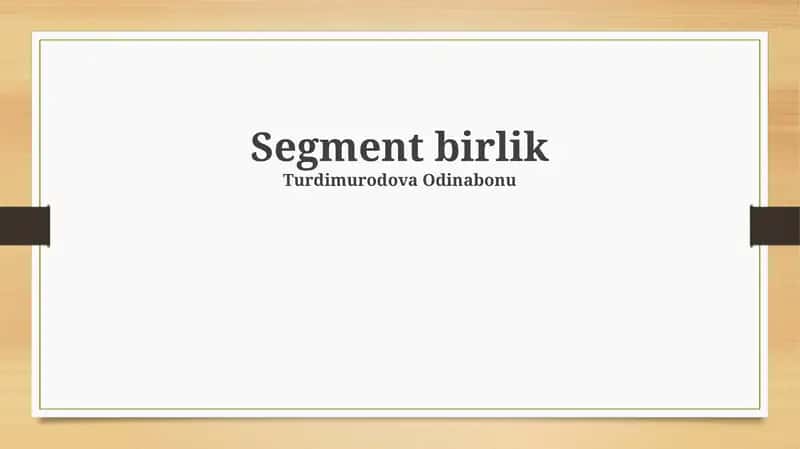 Segment birlik 1