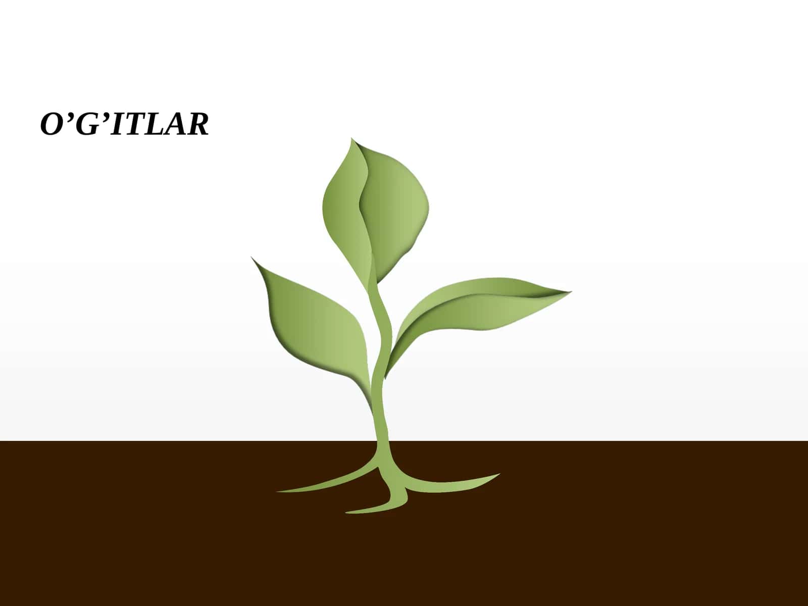O’G’ITLAR 1