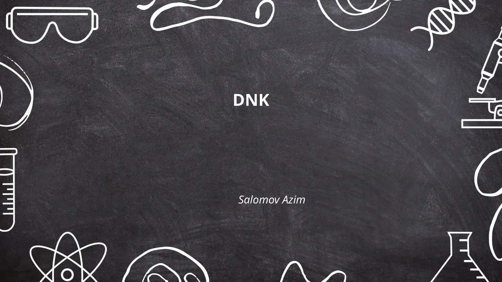 DNK 1