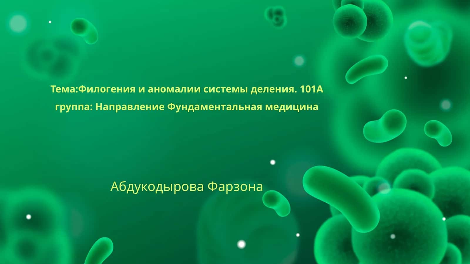 Филогения и аномалии системы деления 1