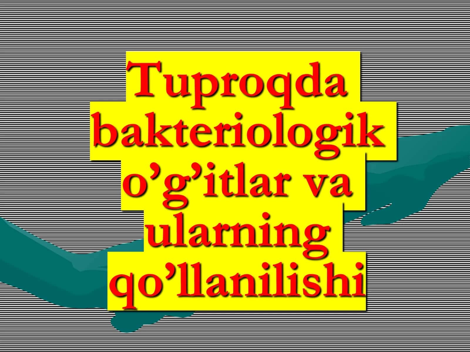 Tuproq Mikrobiologiyasi 1